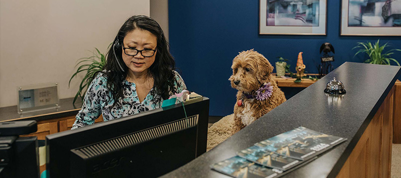 The Bennett/Porter reception desk with puppy