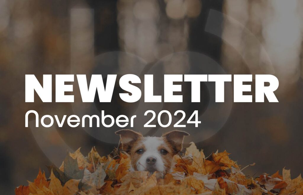 Alt Text: November 2024 newsletter cover featuring a playful dog peeking out from a pile of autumn leaves, set against a blurred background with warm, fall-colored hues.