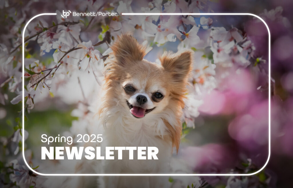 Spring 2025 newsletter cover for Bennett/Porter, featuring a cheerful long-haired Chihuahua surrounded by blooming cherry blossoms, symbolizing renewal and fresh business insights for ERP, HR, payroll, and IT services in the Pacific Northwest.